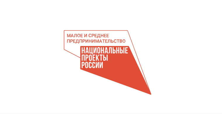 Национальный проект «Малое и среднее предпринимательство и поддержка индивидуальной предпринимательской инициативы». Национальный проект «Малое и среднее предпринимательство и поддержка индивидуальной предпринимательской инициативы».